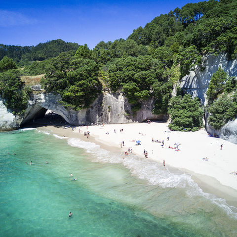 Afbeelding omschrijving