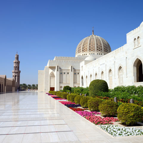 Afbeelding omschrijving