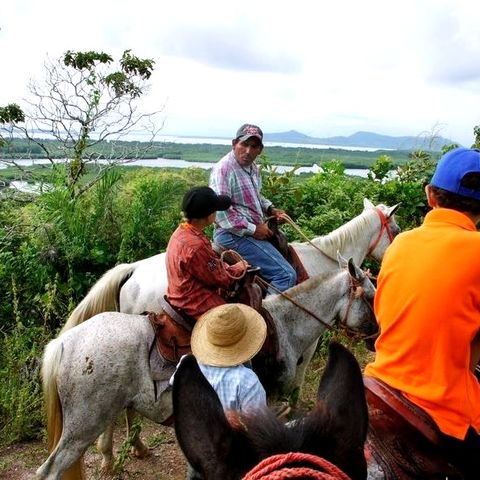 Afbeelding omschrijving