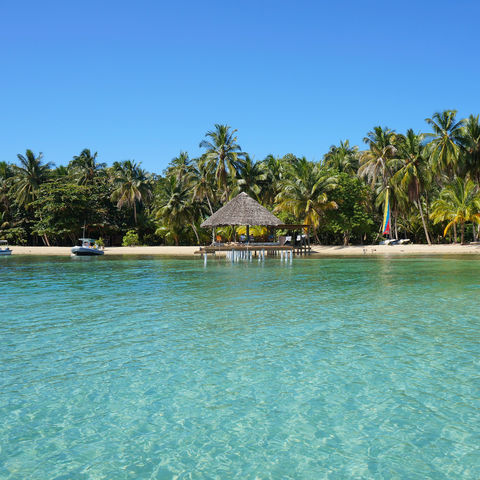 Afbeelding omschrijving