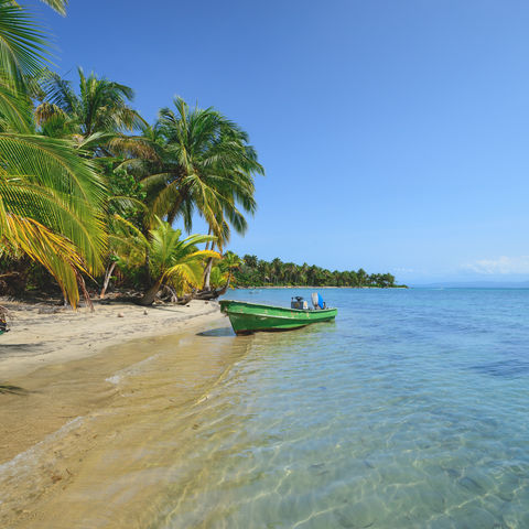 Afbeelding omschrijving