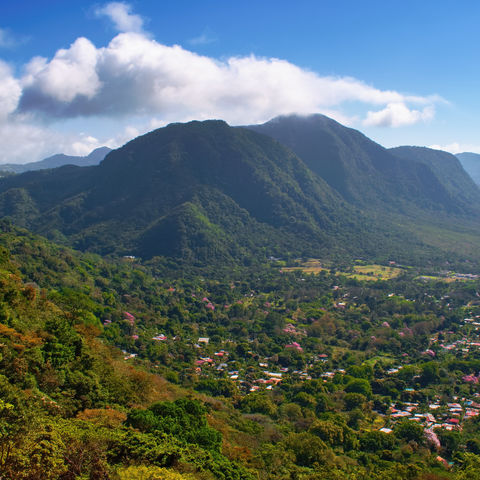 Afbeelding omschrijving