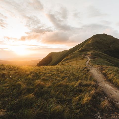 Afbeelding omschrijving