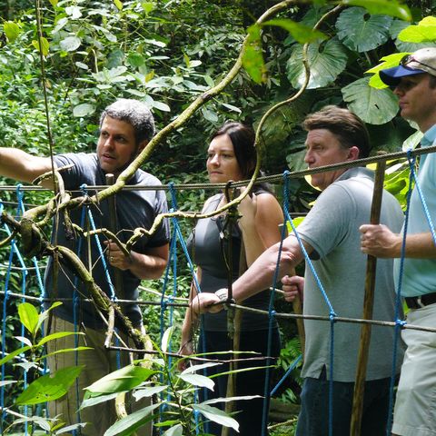 Afbeelding omschrijving