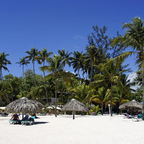 Afbeelding omschrijving