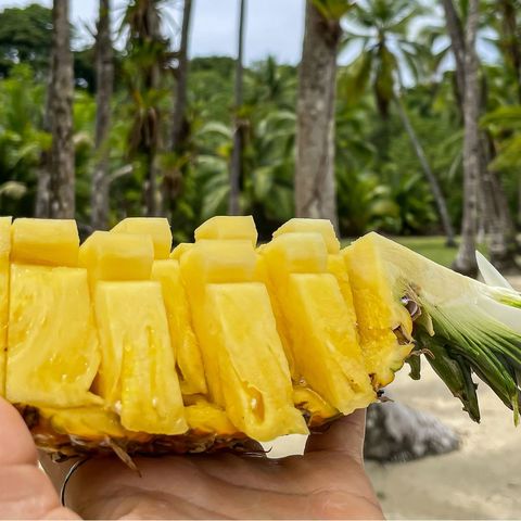 Afbeelding omschrijving