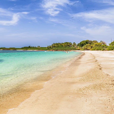 Afbeelding omschrijving