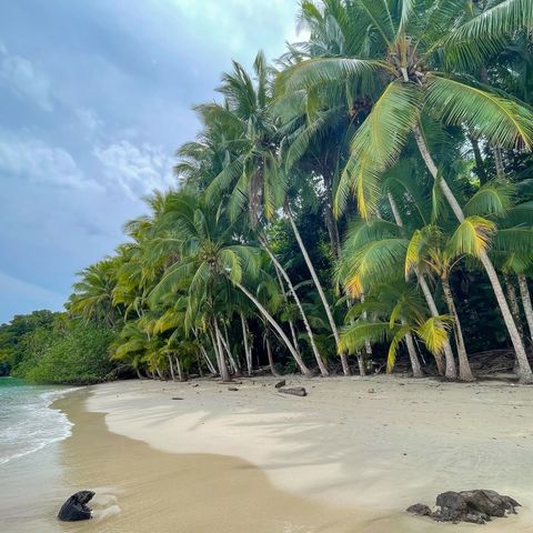Afbeelding omschrijving