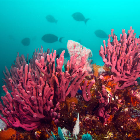 Afbeelding omschrijving