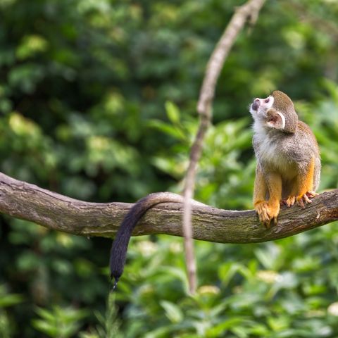 Afbeelding omschrijving