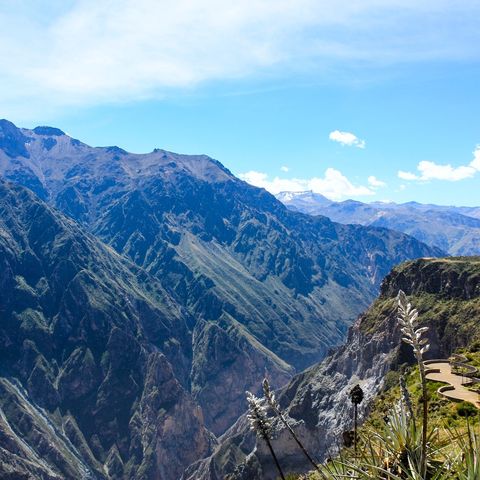 Afbeelding omschrijving