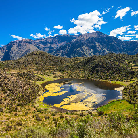 Afbeelding omschrijving