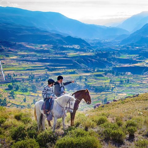 Afbeelding omschrijving