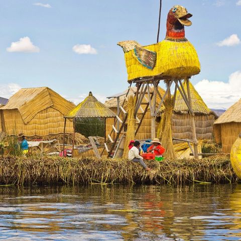 Afbeelding omschrijving