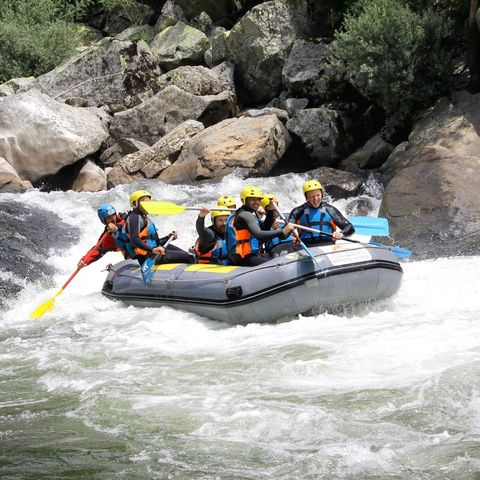 Afbeelding omschrijving