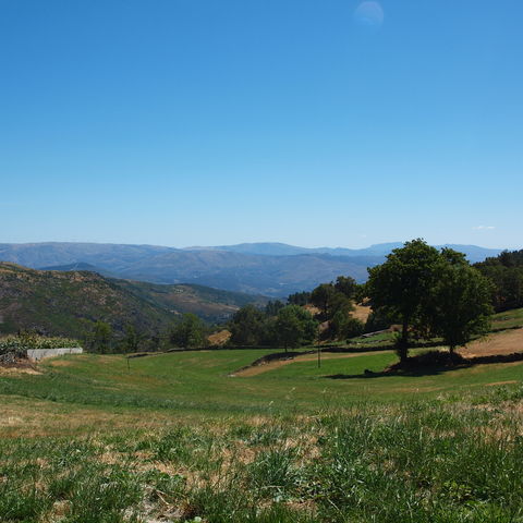 Afbeelding omschrijving