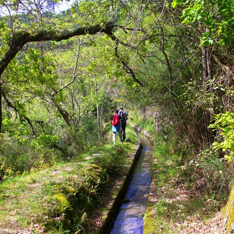 Afbeelding omschrijving