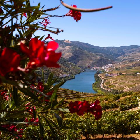 Afbeelding omschrijving