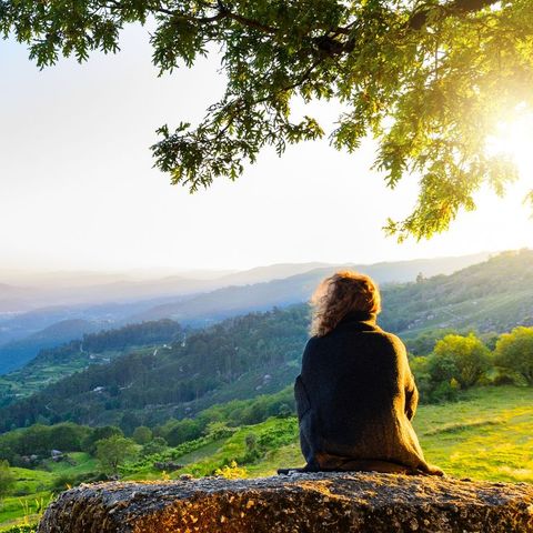 Afbeelding omschrijving