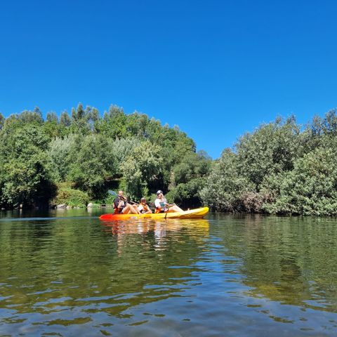 Afbeelding omschrijving