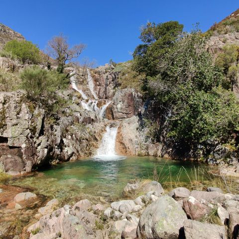 Afbeelding omschrijving
