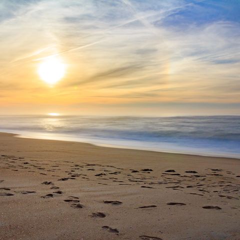 Afbeelding omschrijving