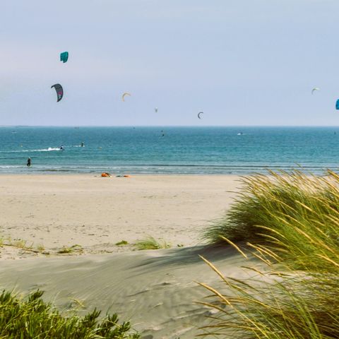 Afbeelding omschrijving