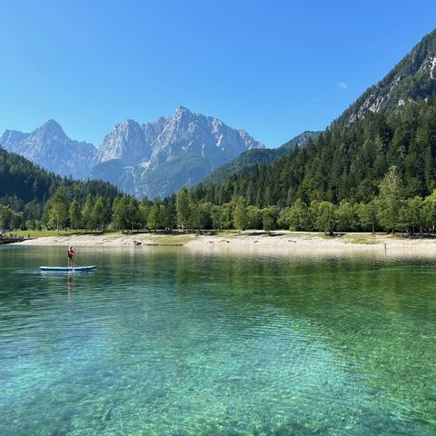 Afbeelding omschrijving