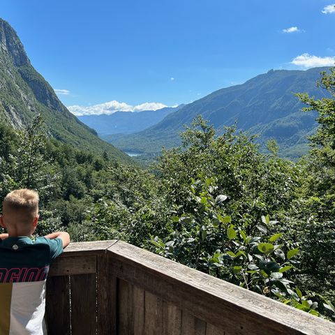 Afbeelding omschrijving