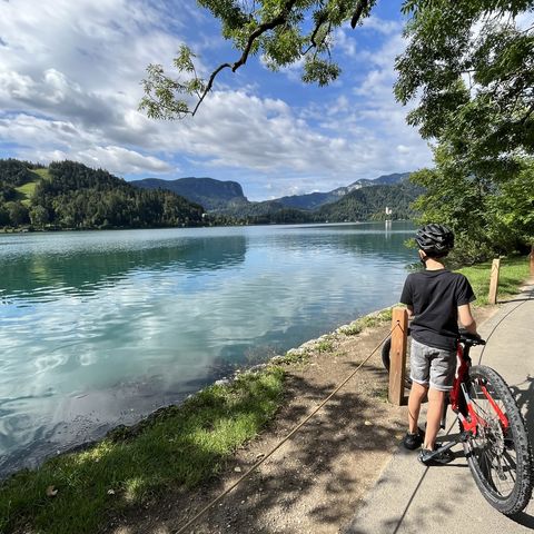 Afbeelding omschrijving