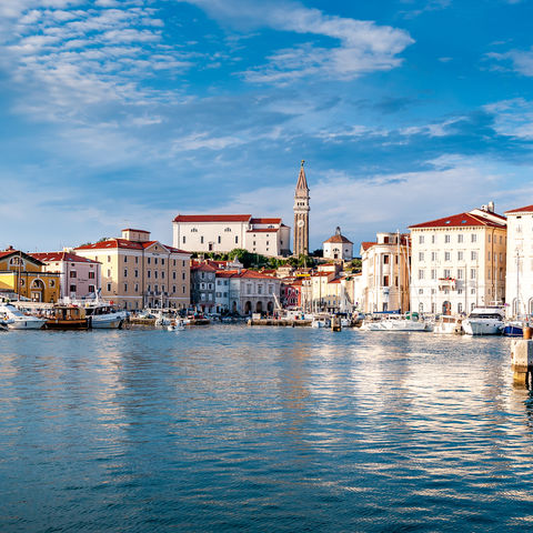 Afbeelding omschrijving