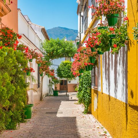 Afbeelding omschrijving