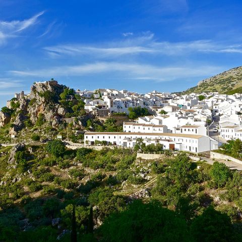 Afbeelding omschrijving