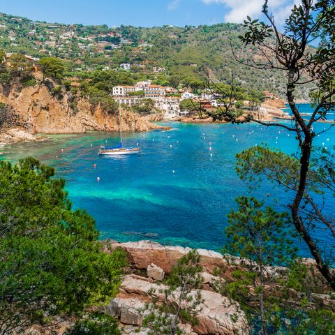 Afbeelding omschrijving