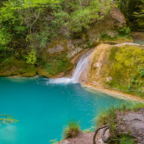Afbeelding omschrijving