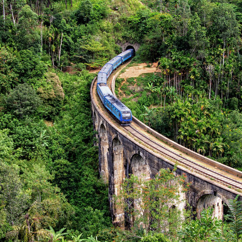 Afbeelding omschrijving