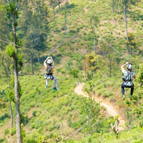Afbeelding omschrijving