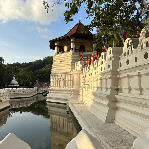 Afbeelding omschrijving