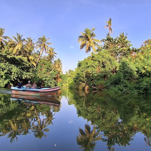 Afbeelding omschrijving