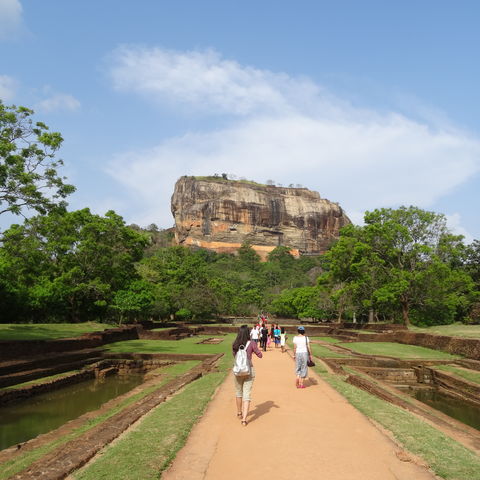 Afbeelding omschrijving