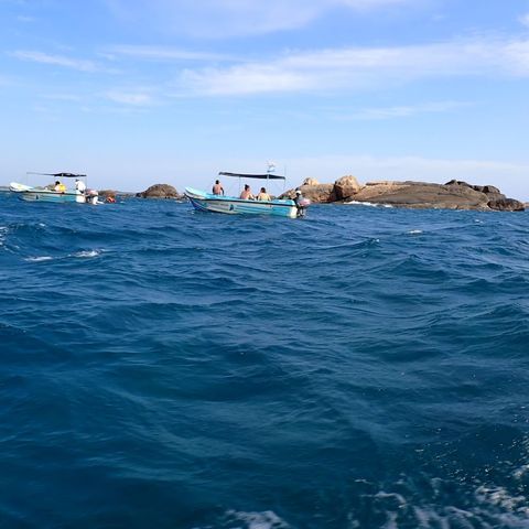 Afbeelding omschrijving