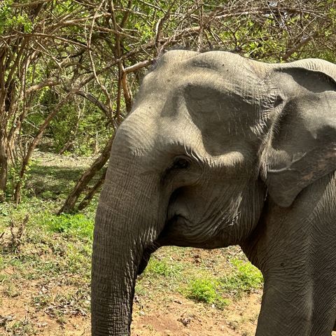 Afbeelding omschrijving