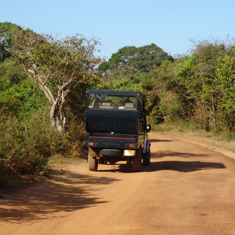 Afbeelding omschrijving