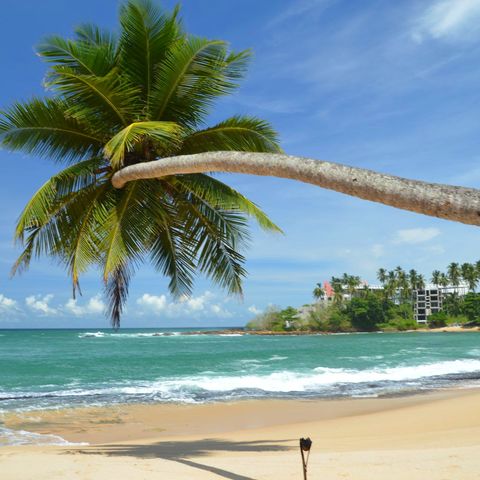 Afbeelding omschrijving