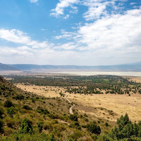 Afbeelding omschrijving