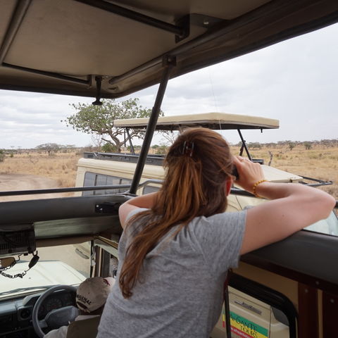 Afbeelding omschrijving