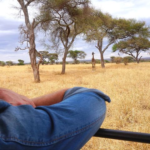 Afbeelding omschrijving