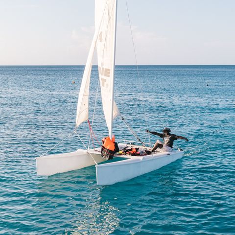 Afbeelding omschrijving