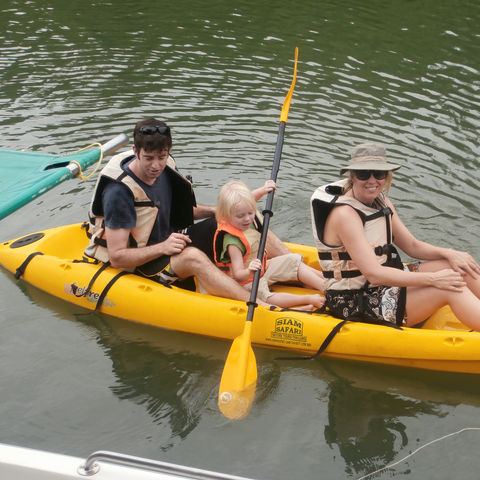 Afbeelding omschrijving