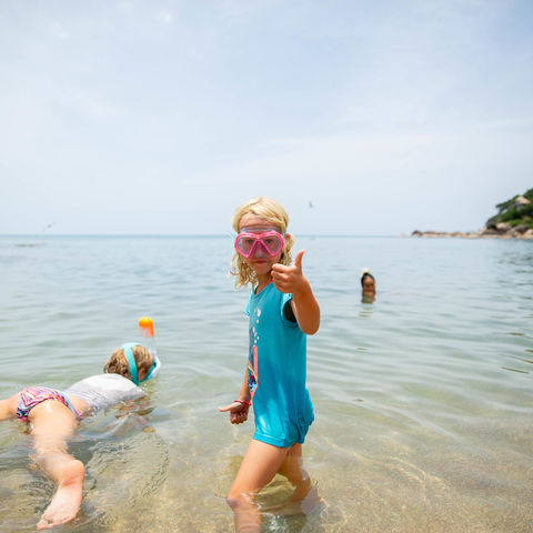 Afbeelding omschrijving